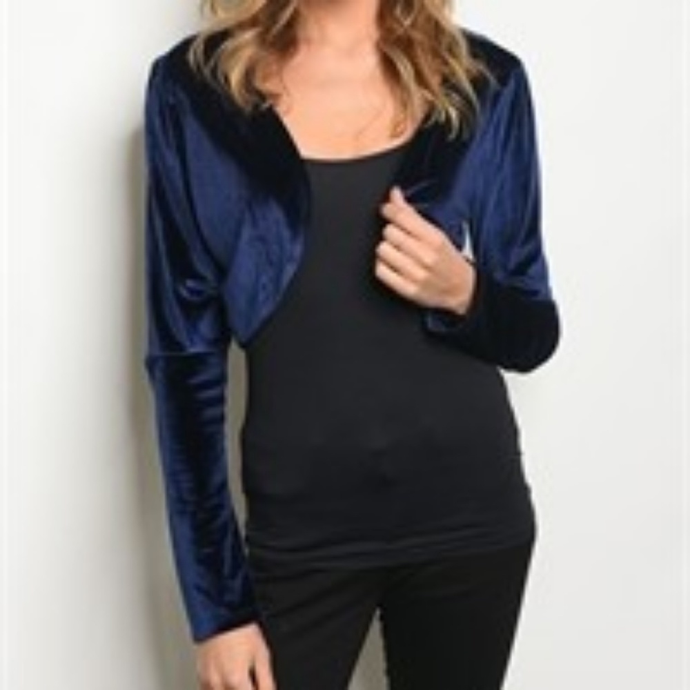 Blue Velvet Blazer